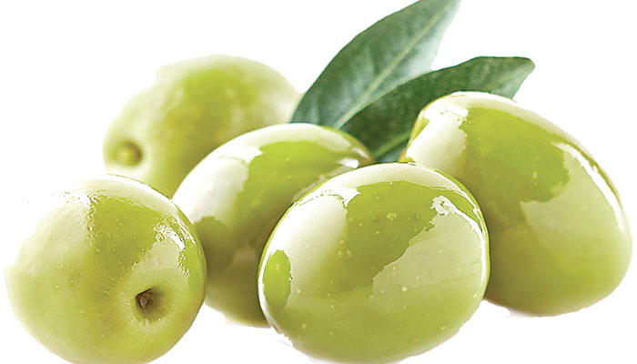olive.jpg olive.jpg